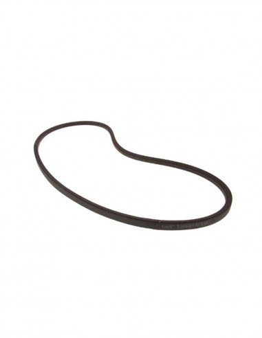 CINGHIE: vendita online CINGHIA 55X22X2021 RIF. 06215222 in offerta