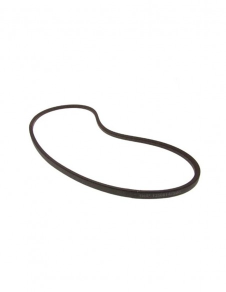 CINGHIE: vendita online CINGHIA 2138 mm RIF. 01145224 in offerta