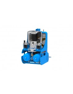 COMPRESSORI: vendita online COMPRESSORE A SOLLEVATORE CON PTO MARCA CAMPAGNOLA MODELLO ECOPLUS 1500 - CON TESTATA K50- CAPACI... 2