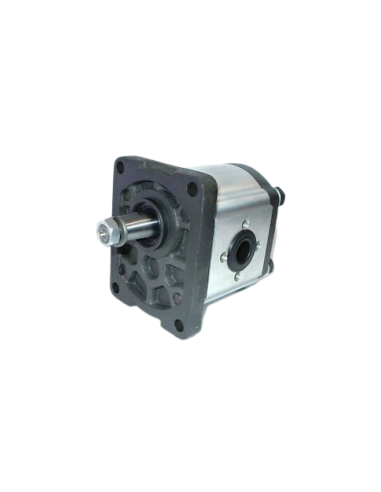 POMPE PER TRATTORI: vendita online POMPA IDRAULICA - GB2.4539.120.0/10 in offerta