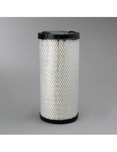 FILTRI: vendita online FILTRO ARIA ESTERNO P828889 in offerta