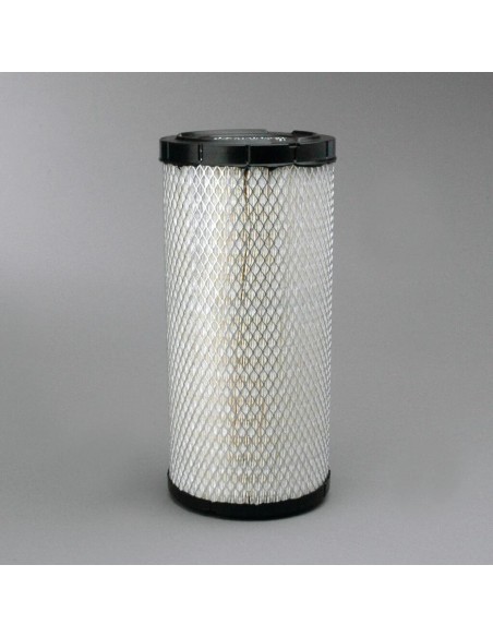 FILTRI: vendita online FILTRO ARIA ESTERNO P828889 in offerta