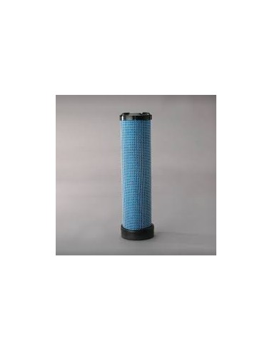 FILTRI: vendita online FILTRO ARIA SICUREZZA P829333 in offerta