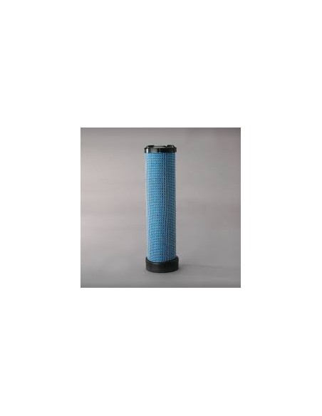 FILTRI: vendita online FILTRO ARIA SICUREZZA P829333 in offerta