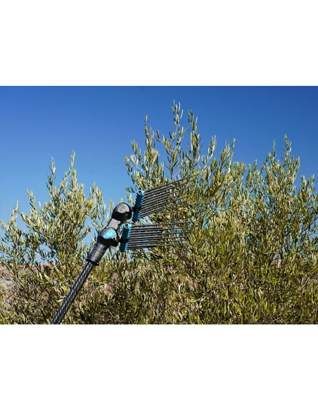 ABBACCHIATORI ELETTRICI: vendita online ABBACCHIATORE ELETTRICO ALICE STAR 58 PLUS in offerta ABBACCHIATORI ELETTRICI: vendita online ABBACCHIATORE ELETTRICO ALICE STAR 58 PLUS in offerta