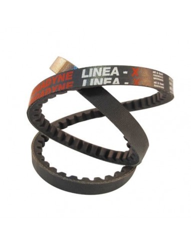 CINGHIE: vendita online CINGHIA SPZX1287 in offerta