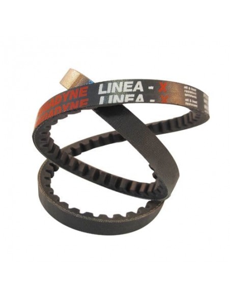 CINGHIE: vendita online CINGHIA SPZX1287 in offerta