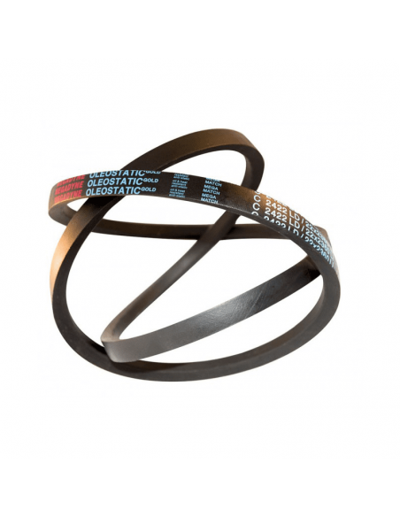 CINGHIE: vendita online CINGHIA B58 in offerta
