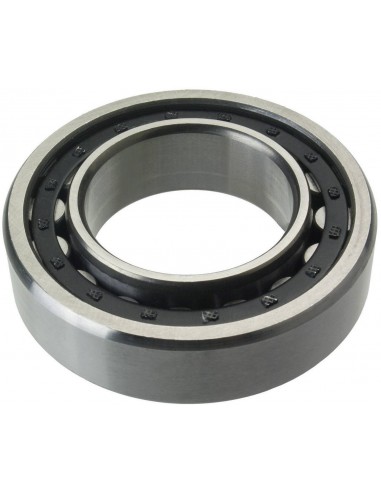 CUSCINETTI: vendita online CUSCINETTO NU206 in offerta