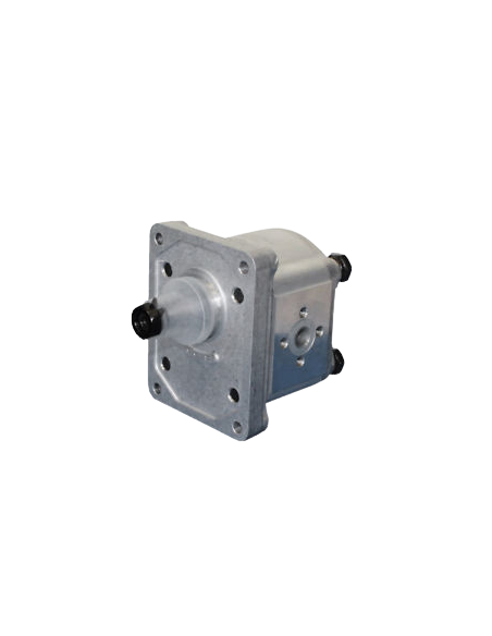 POMPE PER TRATTORI: vendita online POMPA 2B15S - Rif.02030130 in offerta