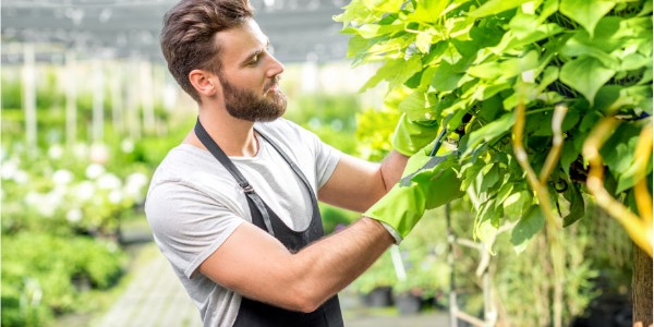 Miglior potatore a batteria Zanon: guida all'acquisto