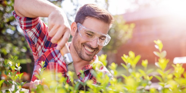 Le caratteristiche delle migliori forbici elettriche per siepi: guida alla scelta