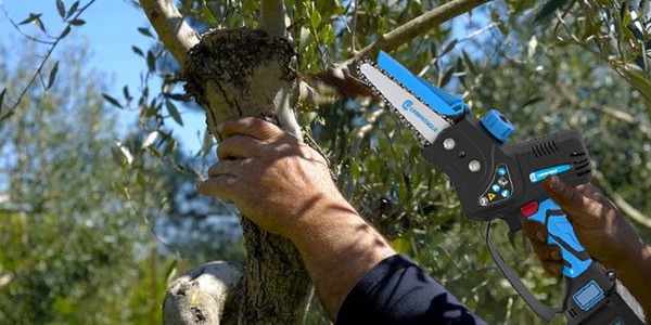 Miglior potatore elettrico a batteria: guida all'acquisto